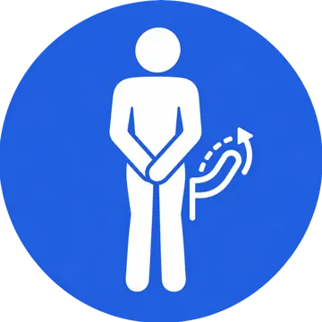 Icon Penile Curvaturclr1